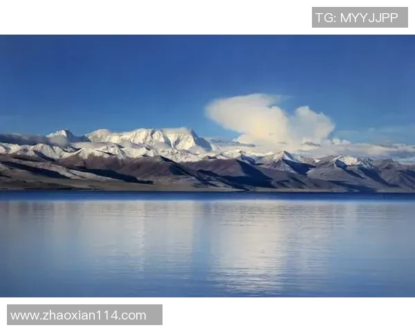 专访王伟揭秘和平精英成功背后的策略与创新之路